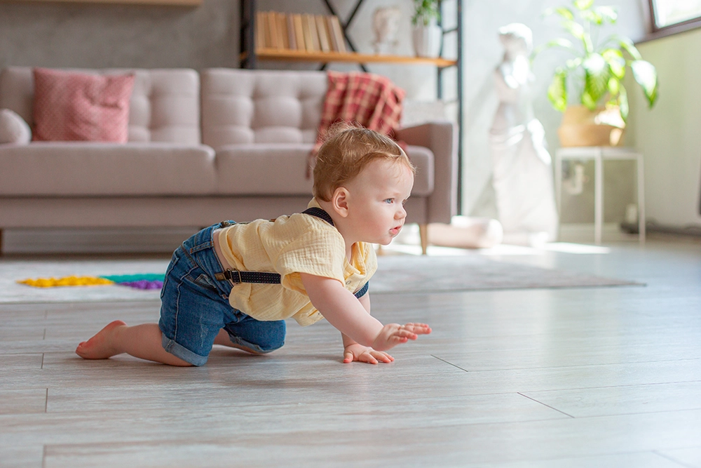 buy lemon floor cleaner disinfectant online